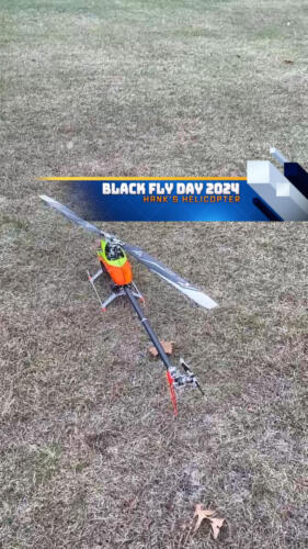 BlackFlyDay